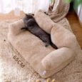 Purr Lounge
