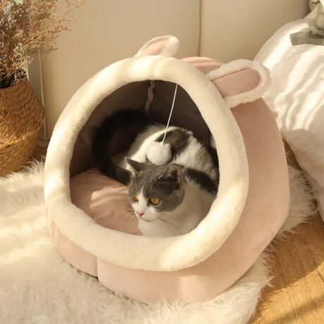 bunny burrow