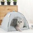 Tenacious Tent