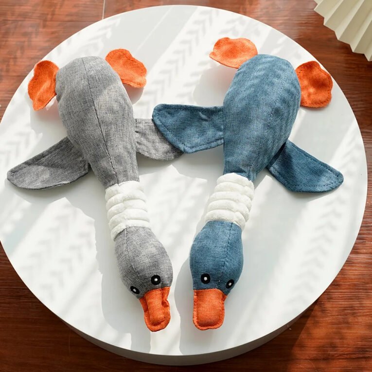 gray_goose