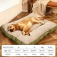 The Big Snooze