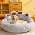 Paw Heaven